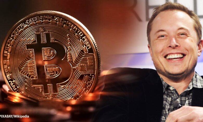 Bitcoin-le nece pul qazanmaq olar