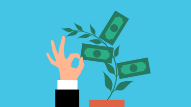 passiv gəlir mənbələri