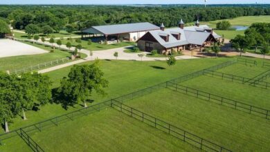 Fermamda Hansı Heyvan və Bitkiləri Yetişdirə bilərəm?