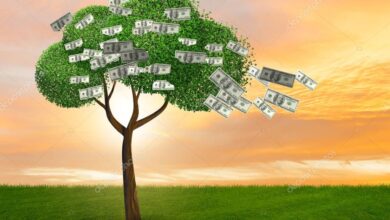 biznes ideyalari, is fikirleri, pul qazanmaq